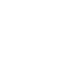 Emergency shutdown icone - urgence
